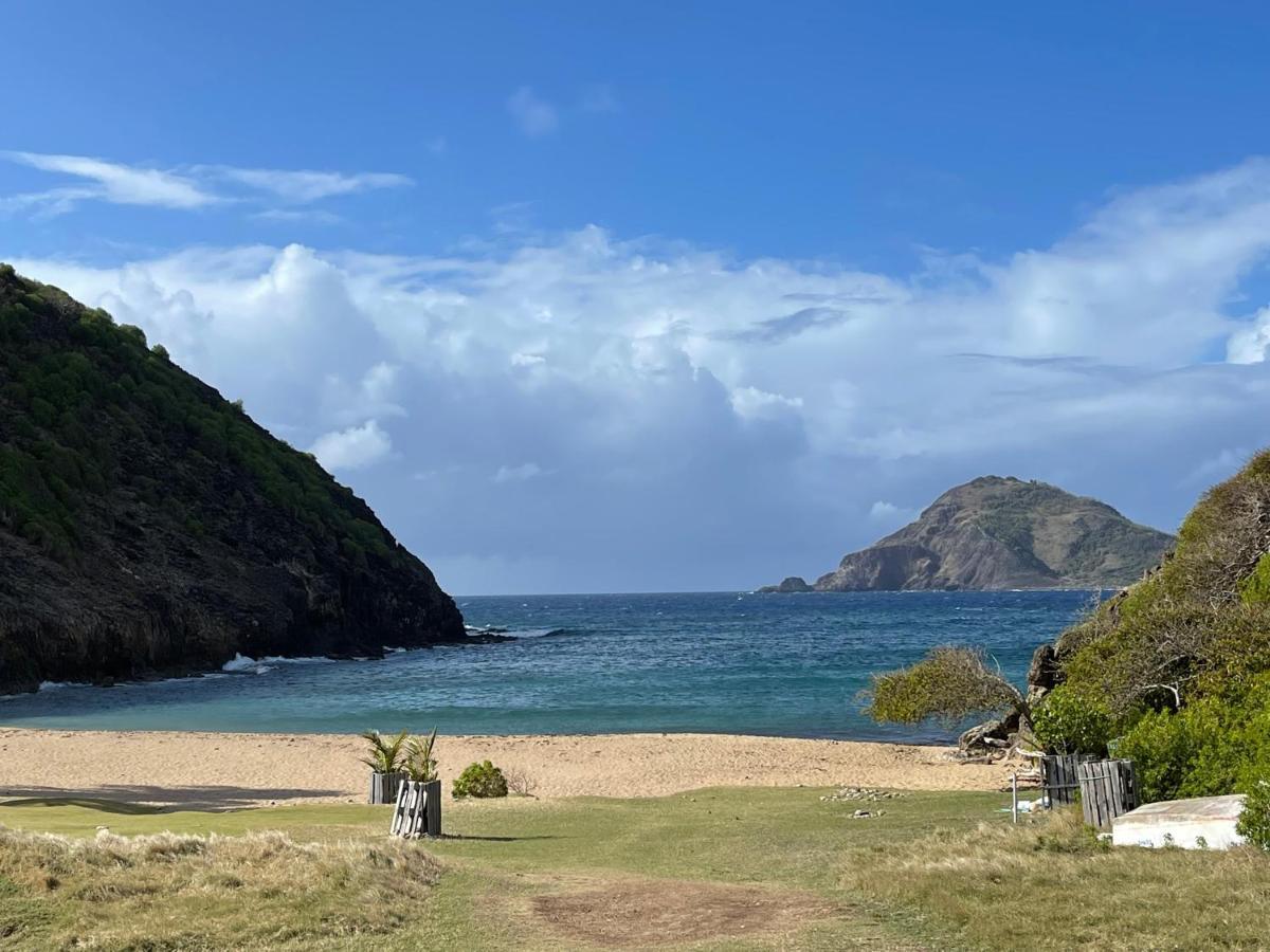 Blue Lagoon, Cottage Les Pieds Dans L Eau Terre-De-Haut Exterior photo
